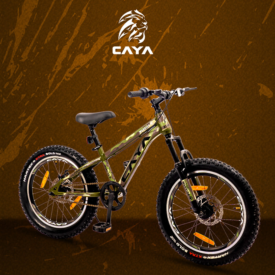 The Reasons Why We Love Caya Kids Bike?