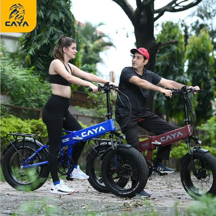 Embracing the Future: Why You Should Consider Owning an Electric Bike?
