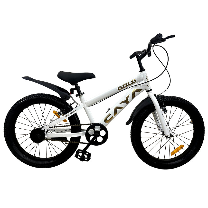 Gold kids bike best sale